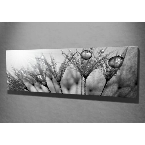 Opviq slika na platnu 30x80cm Cene
