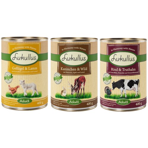 Lukullus Naturkost me&scaron;ana poskusna pakiranja - Miks 2: 6 x 400 g Cijene