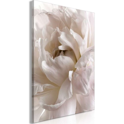  Slika - Fluffy Distraction (1 Part) Vertical 60x90 Slike