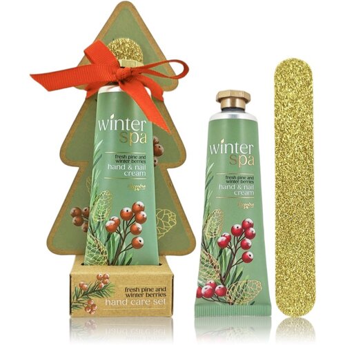 Accentra Winter Spa Hand Care Set darilni set za roke in nohte 2 kos Cene