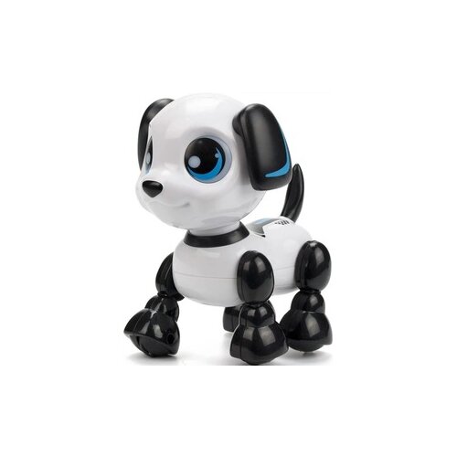 Robo Alive ROBO PAS Cene