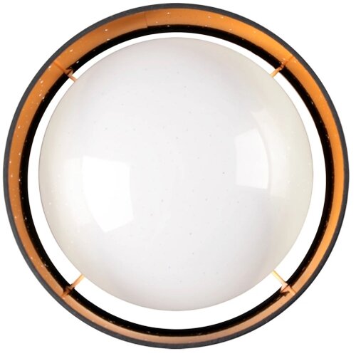  LED stropno svetlo TULUZA LED/24W/230V prečnik 40 cm crno Slike