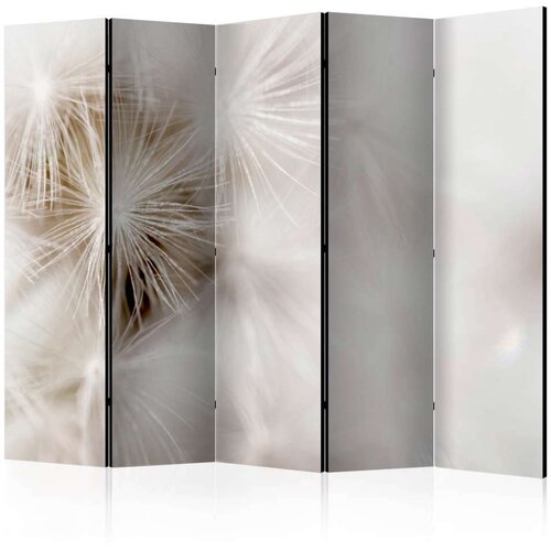  Paravan u 5 dijelova - Subtleness II [Room Dividers] 225x172 Slike