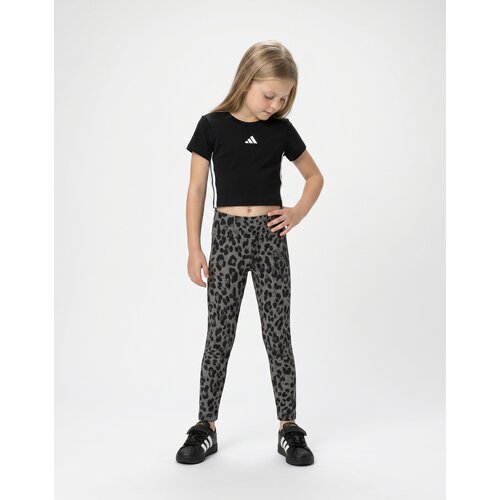 Adidas Pajkice ANIMAL PRINT SPORT LEGGINGS Siva Slike