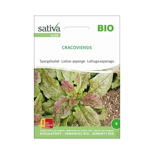 Sativa Bio špargljeva solata "Cracoviensis"