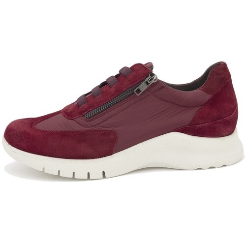 Piesanto Nizke superge 245702 Cene