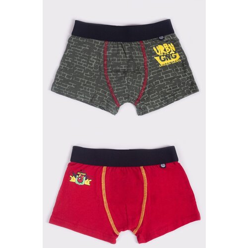 Yoclub Kids&amp;#039;s 2Pack Boy&amp;#039;s Boxer Briefs BMB-0016C-AA30 Slike