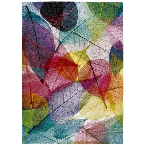 Universal tepih Colors Multi, 120 x 170 cm