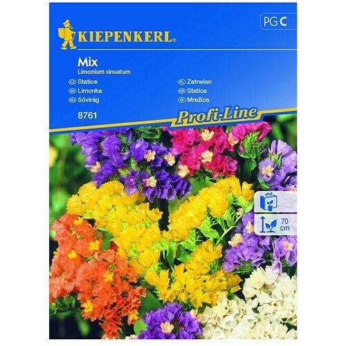 KIEPENKERL Cvetlična semena static Mix (Limonium sinuatum, Večbarvna) Cene