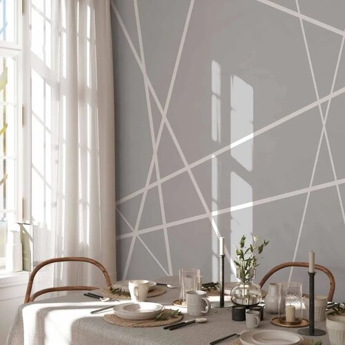  Foto tapeta - Modern Cobweb 350x256 Slike