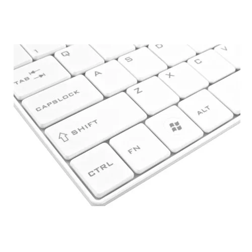 Esperanza EK122W keyboard RF Wireless QWERTY White