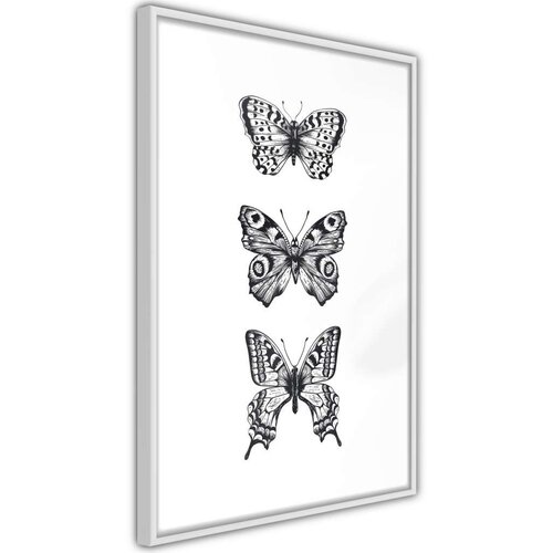  Poster - Butterfly Collection III 40x60 Slike