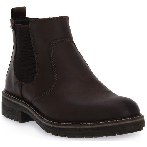 IgI&CO Šport CAFFE FREDY Kostanjeva Cene