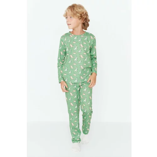 Trendyol Green Size Printed Knitted Boys Pajamas Set