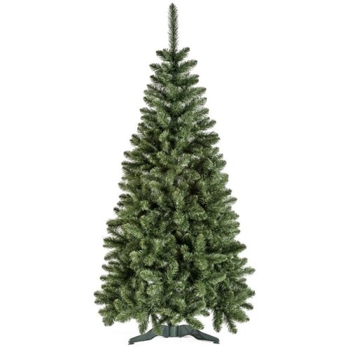  Božićna jelka POLA 250 cm bor Slike