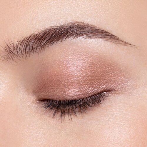 Chantecaille Luminescent Eye Shades biserno sjenilo za oči Zebra 2.5 g Slike