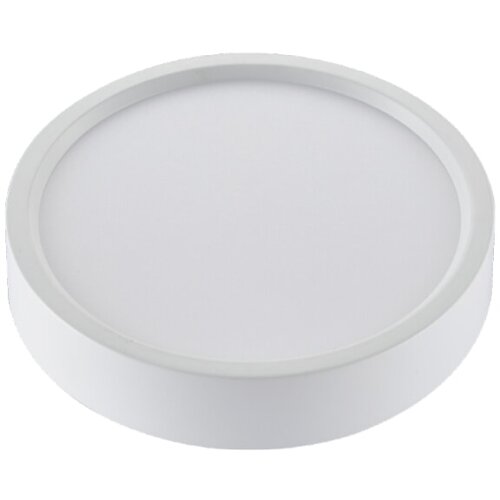 Nadgradni LED panel (24 W, Ø x V: 28,5 x 4 cm) Cijene