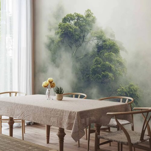  Foto tapeta - Foggy Amazon 500x350 Slike