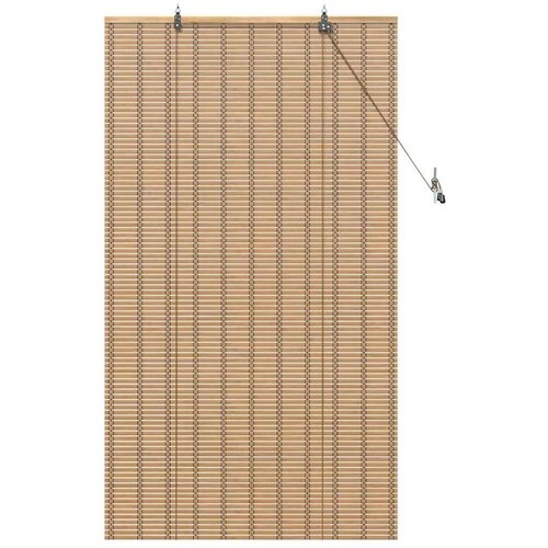 VidaXL Zastore i sjenila sa zavjesama Svijetlosmeđa 60 x 160 cm Bambus Slike