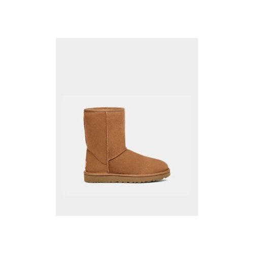 Ugg &amp;Scaron;kornji 1016223 CLASSIC SHORT II Kostanjeva Slike