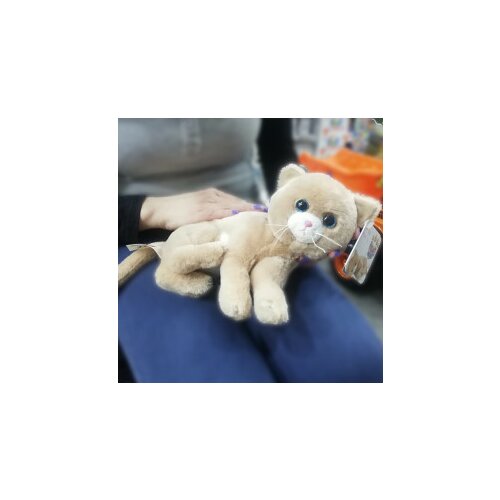 Pertini Plišana igračka maca 504622 Slike
