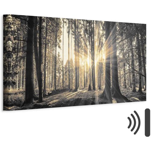  Slika - Forest Sun 150x50 Akustična Cijene