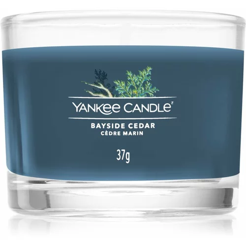 Yankee Candle bayside Cedar dišeča svečka 37 g unisex