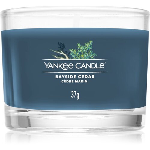 Yankee Candle bayside Cedar mirisna svijeća 37 g Cene