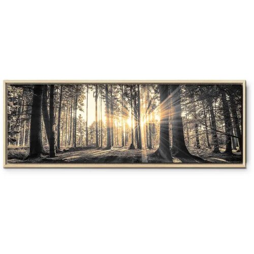  Slika - Forest Sun 90x30 U prirodnom drvenom okviru Slike