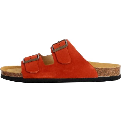 Plakton 232772 Crvena Slike