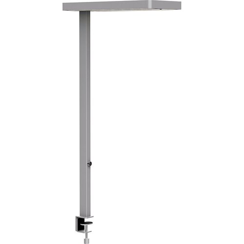 Maul LED-svetilka juvis sensor, s spojko, možnost zatemnitve, aluminijasto bele barve RAL 9006 Cene
