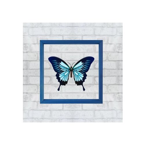Wallity CAM123556 multicolor decorative framed painting Cene
