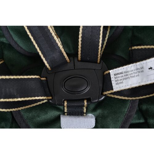 Cangaroo njihalica za bebe Clarissa Green, 0-9 kg Slike