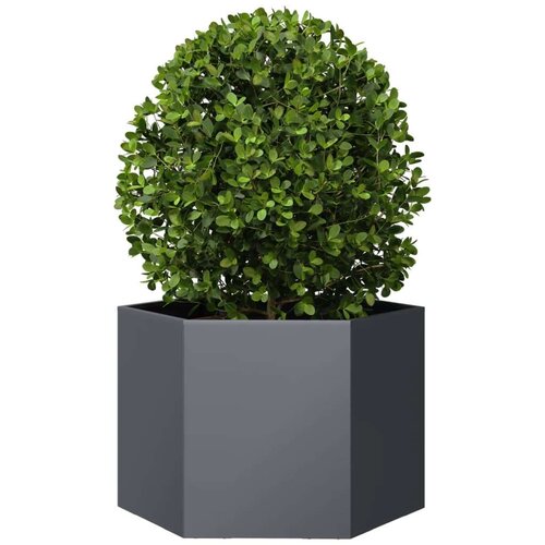VidaXL Vrtna sadilica antracit &amp;scaron;esterokutna 69x60x45 cm čelična Slike