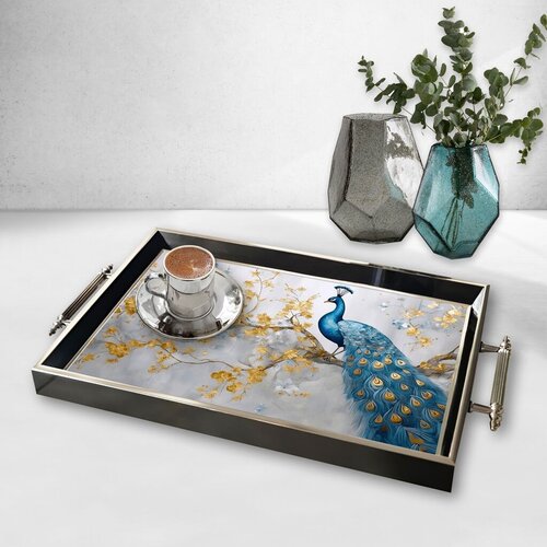 Aberto Design Poslužavnik TPG9925 50 x 29 x 3.5 cm, Šareni Cene