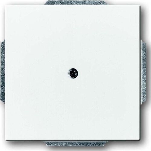 Busch-Jaeger Centralni disk dav/sws slepi izhod s podpornim obročem 1742-84, (20858385) Cene