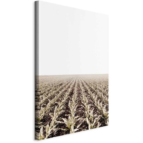  Slika - Corn Field (1 Part) Vertical 40x60 Standard Cijene