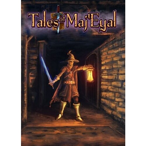 Steam Tales of Maj'Eyal Key GLOBAL Cene