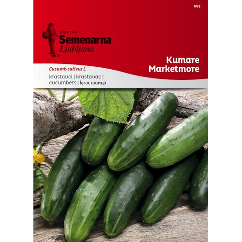  Kumare "Marketmore" - 3 g Cene