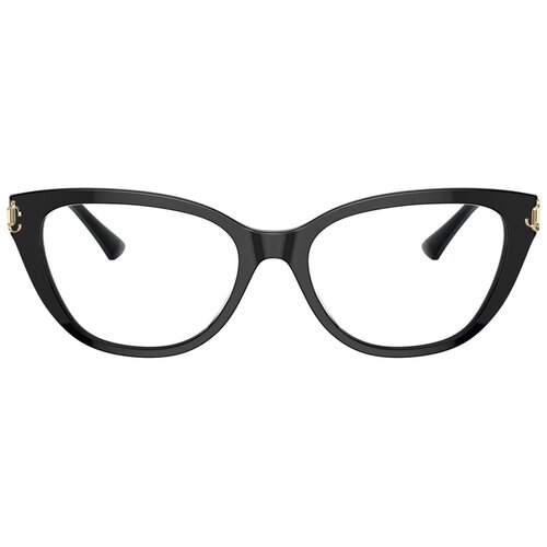 Jimmy_Choo Naočare JC 3011 5000 Cene