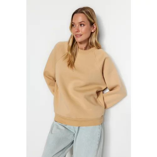 Trendyol Mink Relaxed/Comfortable Fit Basic Raglan Sleeve Crew Neck Knitted Sweatshirt