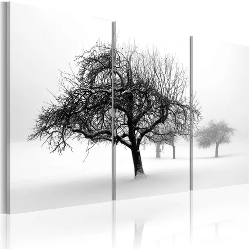  Slika - Trees submerged in white 60x40