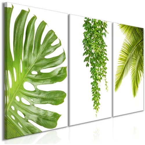  Slika - Beautiful Palm Trees (3 Parts) 120x60