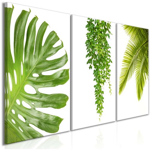  Slika - Beautiful Palm Trees (3 Parts) 120x60 Slike