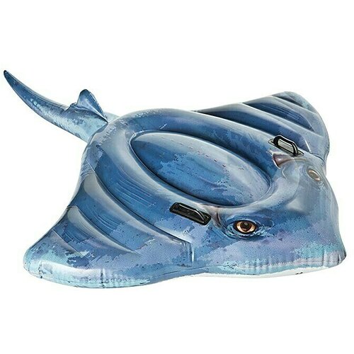 Intex Inflatable Lane, (22030168) Cene