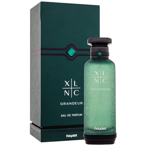 Nayaat XLNC Grandeur parfumska voda 200 ml za mo&amp;scaron;ke Slike