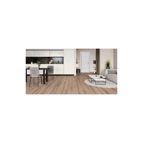  KASTAMONU LAMINAT DOVE WINGS 8mm FW008 Cijene