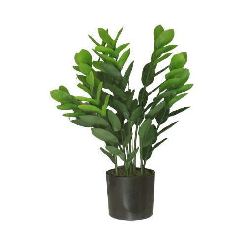 Dekordom Cvet u saksiji - money grass 7pcs - n60 ( 025151 ) Cene
