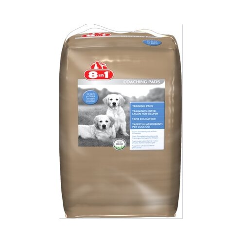 8in1 Training pads 30kom Cene