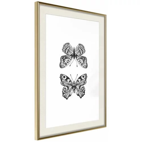  Poster - Butterfly Collection I 20x30